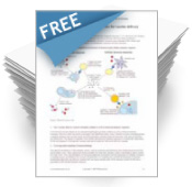Free White Paper
